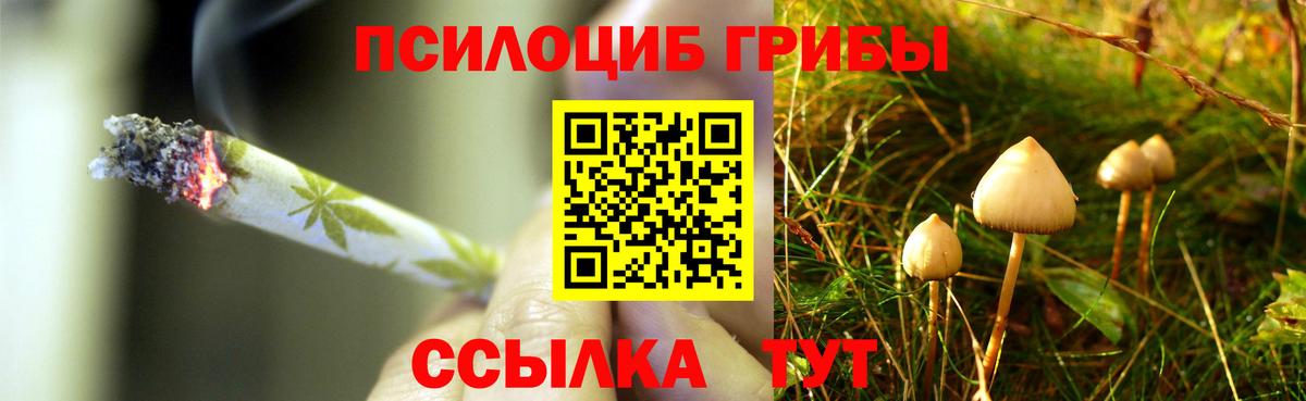 Галлюциногенные грибы мицелий  Псилоцибиновые грибы ЛСД  Вход с VPN  купить   Избербаш 